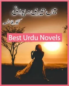 Main Teri Deewani Novel By Kinza Fatima