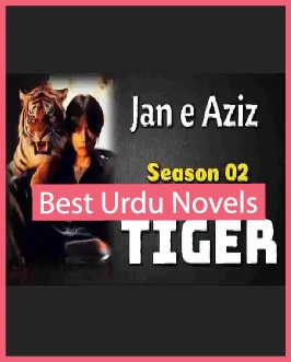 Tiger Novel By Soni Mirza (Season 2 of Jaan e Aziz)