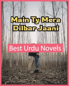 Main Te Mera Dilbar Jani Novel By Areej Shah