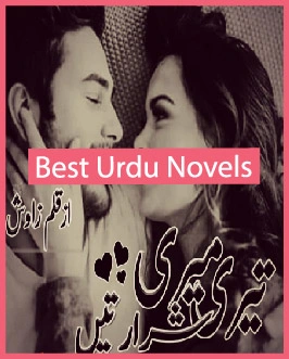 teri meri love stories