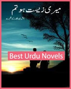 Meri Zeest Ho Tum Novel By Beenish Majeed