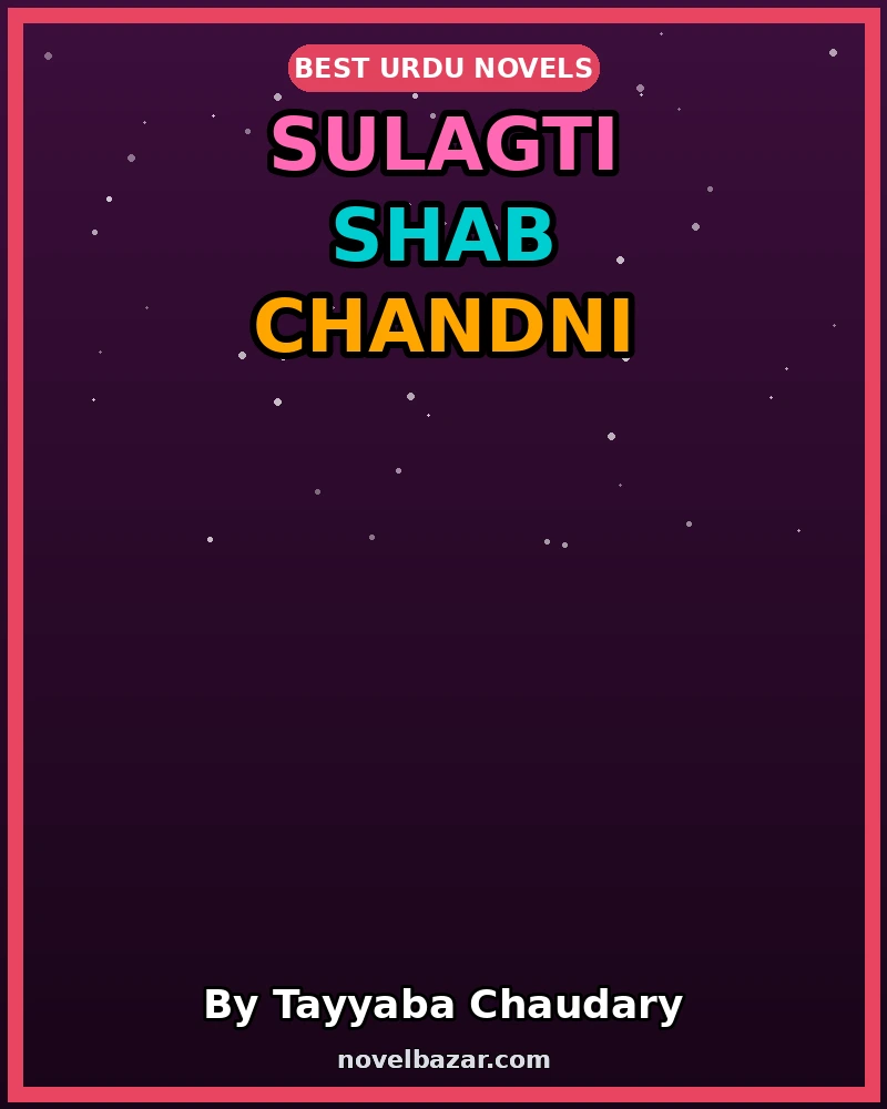 Sulagti Shab Chandni